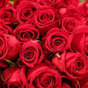 ヒメ日記 2025/10/24 13:34 投稿 西元美海(にしもとみみ) 五十路マダムエクスプレス厚木店(カサブランカグループ)