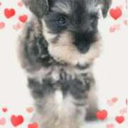 ヒメ日記 2025/11/14 19:43 投稿 稲森あこ ミセスの癒しエステ