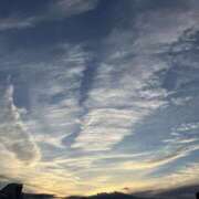 ヒメ日記 2025/11/21 15:18 投稿 稲森あこ ミセスの癒しエステ