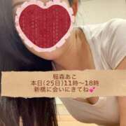 ヒメ日記 2025/11/25 10:59 投稿 稲森あこ ミセスの癒しエステ