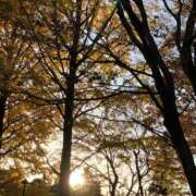 ヒメ日記 2025/11/26 12:55 投稿 稲森あこ ミセスの癒しエステ