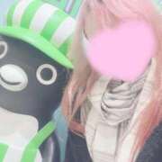 ヒメ日記 2026/01/24 15:43 投稿 みかん 府中ダービー