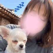ヒメ日記 2026/07/25 09:30 投稿 ももか あとりえ(ATELIER)