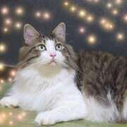 ヒメ日記 2025/10/22 14:20 投稿 らら ディアクイーンズ