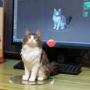 ヒメ日記 2025/10/24 09:29 投稿 らら ディアクイーンズ