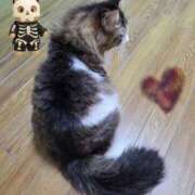 ヒメ日記 2025/10/29 18:54 投稿 らら ディアクイーンズ