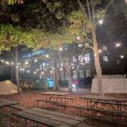 ヒメ日記 2025/12/30 17:38 投稿 かえで 逢って30秒で即尺