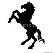 ヒメ日記 2025/12/27 10:02 投稿 なつき 熟女デリヘル倶楽部