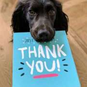 ヒメ日記 2025/10/21 13:00 投稿 めぐ 奥鉄オクテツ東京店（デリヘル市場）