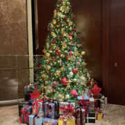 ヒメ日記 2025/11/14 20:20 投稿 めぐ 奥鉄オクテツ東京店（デリヘル市場）