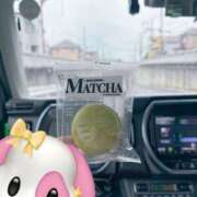 ヒメ日記 2026/02/12 11:39 投稿 ひな Lip Trip