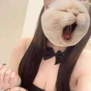 ヒメ日記 2026/02/07 18:02 投稿 あまね★エロ過ぎる現役〇学生♥ BUNNY PLAS