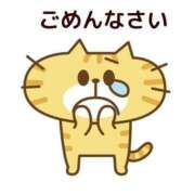 ヒメ日記 2025/11/30 09:33 投稿 ゆいな 素人妻達☆マイふぇらレディー