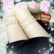 ヒメ日記 2026/04/12 14:44 投稿 尾上聖花 五十路マダム 浜松店(カサブランカグループ)