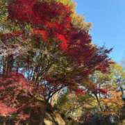 ヒメ日記 2025/11/15 09:31 投稿 みれい AFTER V（アフターファイブ）