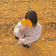 ヒメ日記 2025/12/02 00:37 投稿 みれい AFTER V（アフターファイブ）