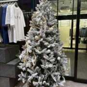 ヒメ日記 2025/12/25 23:58 投稿 みれい AFTER V（アフターファイブ）