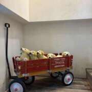 ヒメ日記 2026/02/23 10:55 投稿 みれい AFTER V（アフターファイブ）