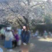 ヒメ日記 2026/04/05 01:16 投稿 りん 鹿鳴館