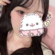 ヒメ日記 2026/04/11 01:46 投稿 りん 鹿鳴館