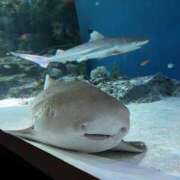 ヒメ日記 2025/10/19 21:41 投稿 のん 素人妻御奉仕倶楽部Hip's取手店