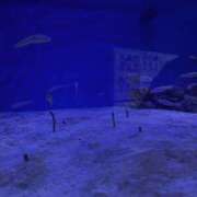 ヒメ日記 2025/10/20 14:11 投稿 のん 素人妻御奉仕倶楽部Hip's取手店