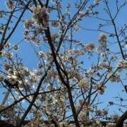 ヒメ日記 2025/10/25 08:21 投稿 のん 素人妻御奉仕倶楽部Hip's取手店