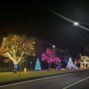 ヒメ日記 2025/11/18 22:21 投稿 のん 素人妻御奉仕倶楽部Hip's取手店