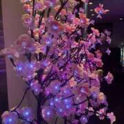 ヒメ日記 2026/03/27 01:51 投稿 のん 素人妻御奉仕倶楽部Hip's取手店