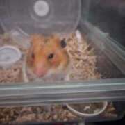 ヒメ日記 2025/10/28 11:56 投稿 ゆきな 池袋ぱんぷきん（シンデレラグループ）