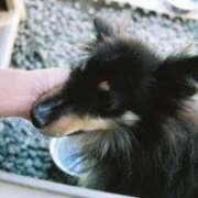 ヒメ日記 2025/10/30 17:20 投稿 ゆきな 池袋ぱんぷきん（シンデレラグループ）