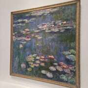 ヒメ日記 2025/11/22 08:47 投稿 ゆきな 池袋ぱんぷきん（シンデレラグループ）