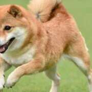 ヒメ日記 2025/12/07 19:42 投稿 ゆきな 池袋ぱんぷきん（シンデレラグループ）