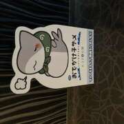 ヒメ日記 2026/03/17 11:38 投稿 藤原　なぎ ユナイト人妻熟女姫路店