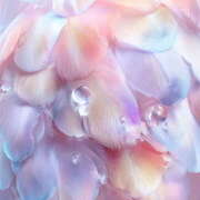 ヒメ日記 2026/02/14 03:18 投稿 藤原　なぎ ユナイト人妻熟女加古川店