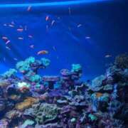 ひめな 明日出勤♡ SPIN(スピン)