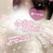 ヒメ日記 2025/11/04 19:53 投稿 こう 新宿ハンドメイド