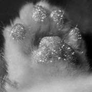 こう ごめんなさい 新宿ハンドメイド