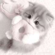 こう 明日おやすみですごめんなさい 新宿ハンドメイド