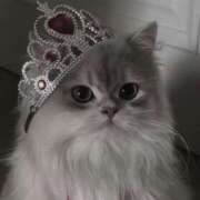 こう 本日おやすみですごめんなさい 新宿ハンドメイド