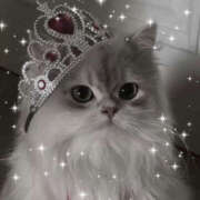 ヒメ日記 2026/04/29 06:51 投稿 こう 新宿ハンドメイド