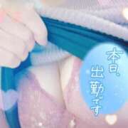 ヒメ日記 2025/11/03 08:04 投稿 あずさ 丸妻 厚木店