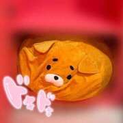 ヒメ日記 2025/11/07 15:01 投稿 むう マリン土浦本店