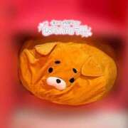 ヒメ日記 2025/11/09 14:35 投稿 むう マリン土浦本店