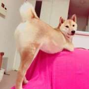 ヒメ日記 2025/12/29 12:20 投稿 ゆうか 妻天 尼崎店