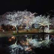 ヒメ日記 2026/04/06 14:43 投稿 ちより 熟女の風俗最終章 新潟店