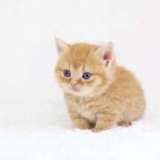 ヒメ日記 2025/11/04 17:28 投稿 ふわり eroina