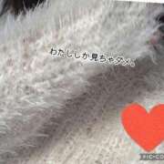 ヒメ日記 2026/02/14 14:51 投稿 ののか 妻天 京橋店