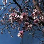 ヒメ日記 2026/04/03 06:14 投稿 ののか 妻天 京橋店