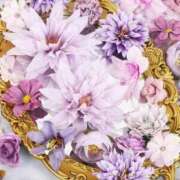 ヒメ日記 2025/11/11 19:24 投稿 華澄（かすみ） ROYAL FACE FUKUOKA